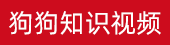 老花镜什么品牌质量好ads2